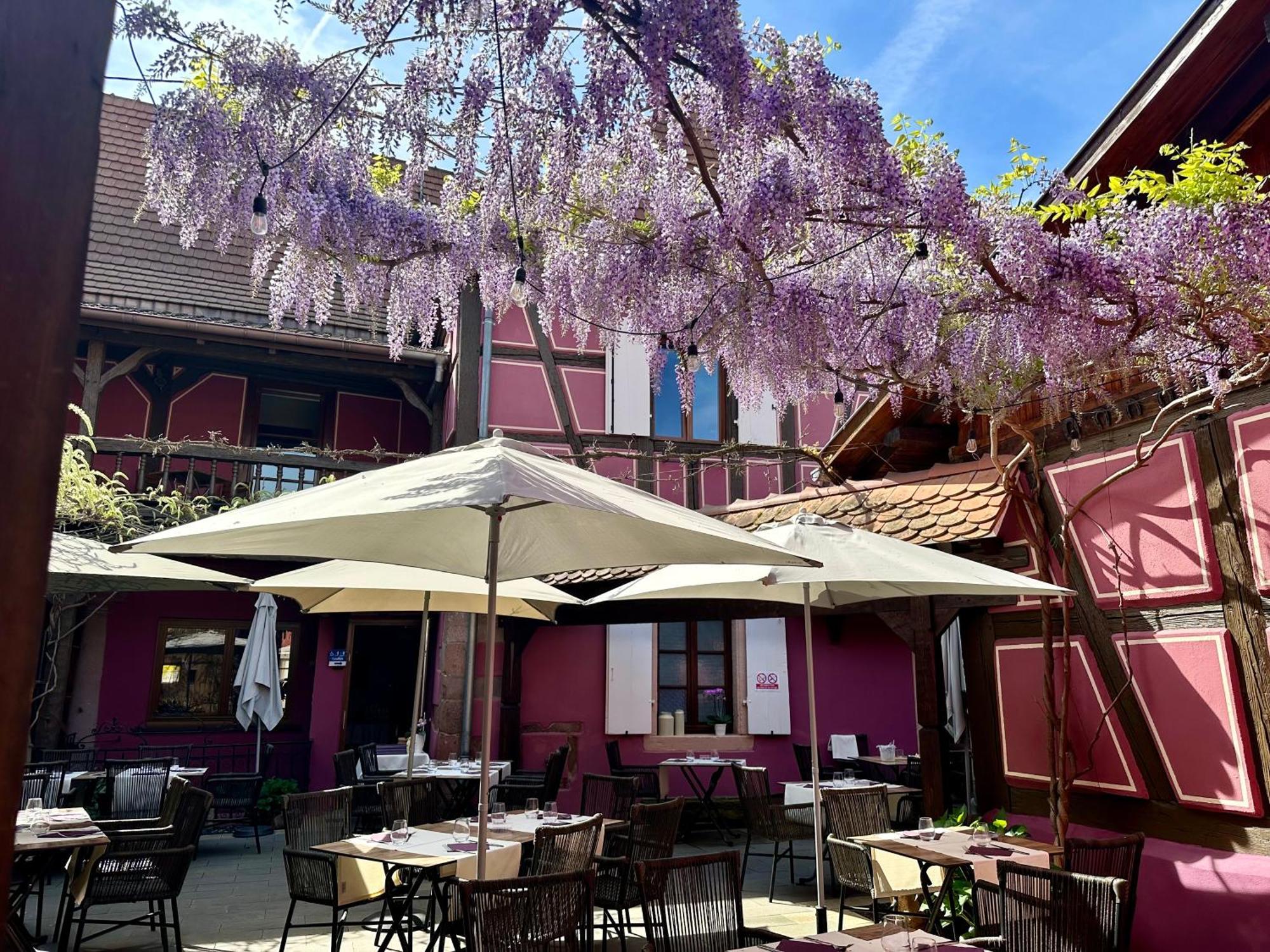Auberge Le Meisenberg Châtenois Exterior foto