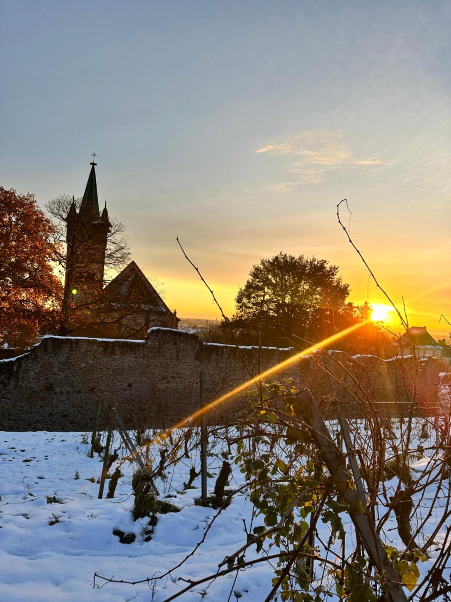 Auberge Le Meisenberg Châtenois Exterior foto